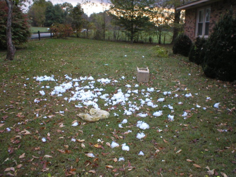 snow or stuffing.jpg